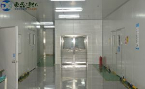 洁净无尘车间装修建筑布局设计【东鑫净化】